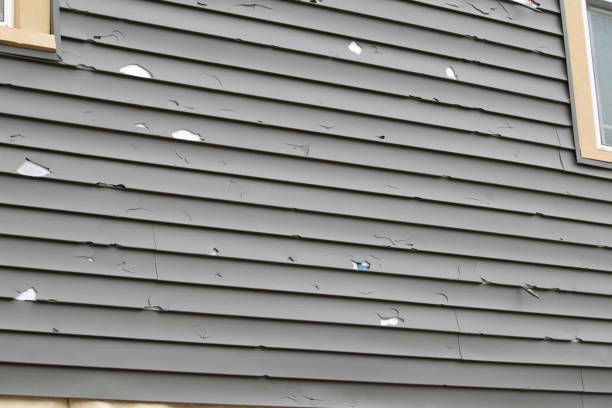 Best Fiber Cement Siding Installation  in Raven, VA