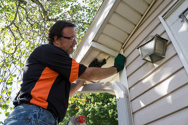 Best Storm Damage Siding Repair  in Raven, VA